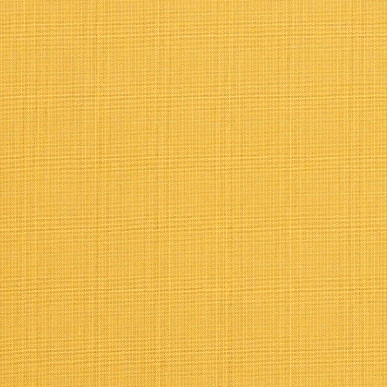 SPECTRUM DAFFODIL