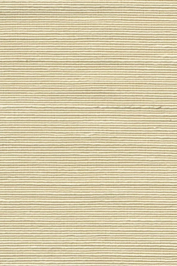 Agave Natural - 90533 — Ảnh 2