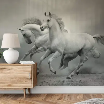 White Wild Horses - Wall Mural 5519 - 8 Panel - 384cm x 260cm