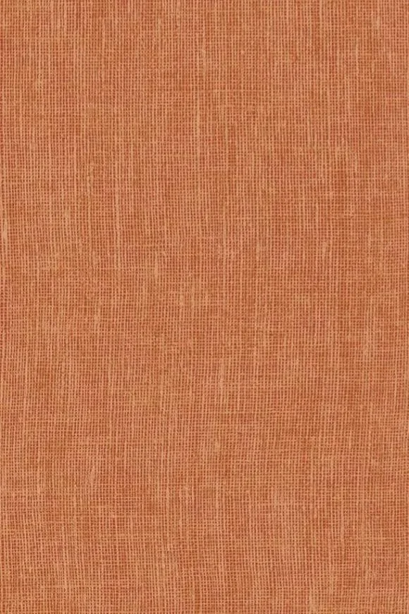 Lin Normandie Hotchips — Ảnh 2