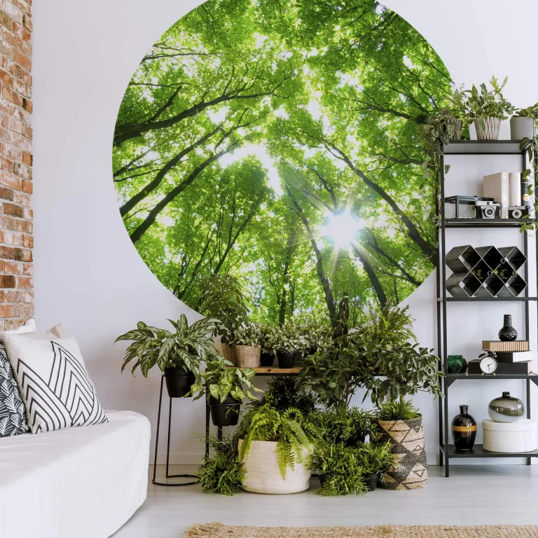 Sunny Forest - Wall Mural 5439 - 8 Panel - 384cm x 260cm — Ảnh 2