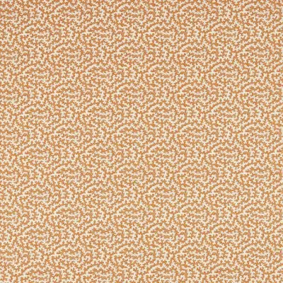 TRUFFLE DARB227082