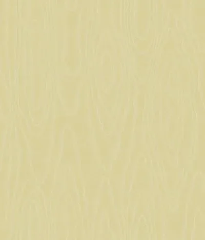 Watered Silk S106 1011 — Ảnh 2