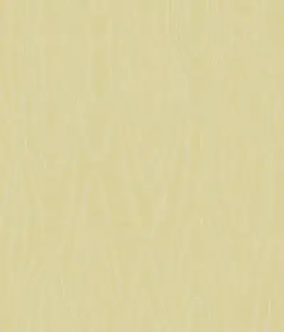 Watered Silk S106 1011