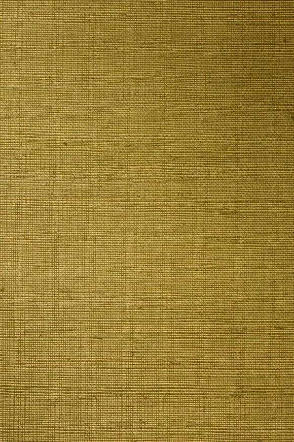 Line Gold Olive - 72745A — Ảnh 2