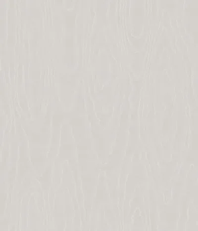 Watered Silk S106 1003 — Ảnh 2