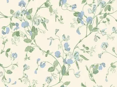 Sweet Pea Archive Anthology S100 6031 — Ảnh 2