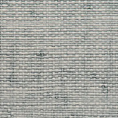 Vinyl Island Raffia