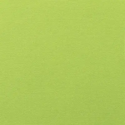 CANVAS MACAW