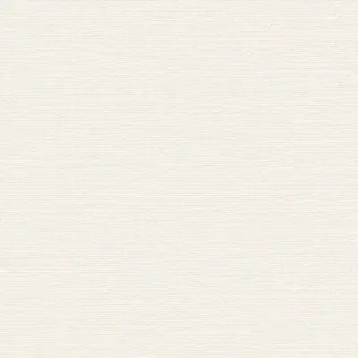 The Basic - White Beige Tone PT.02