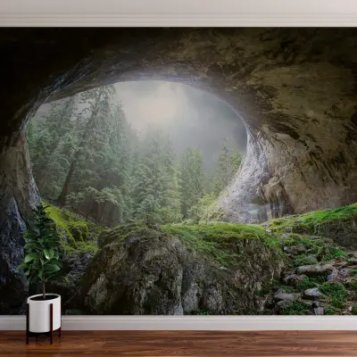 Cave In The Forest - Wall Mural 5078 - 8 Panel - 384cm x 260cm