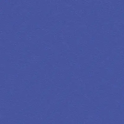 The Basic - Blue Tone