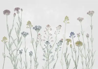 Wild Chalk — Pale Grey