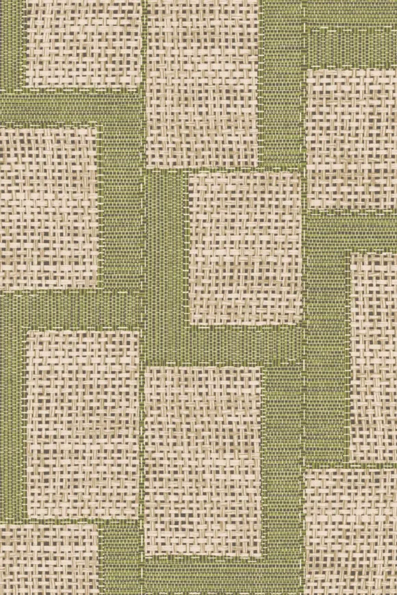 Esparto Africano Olive — Ảnh 2