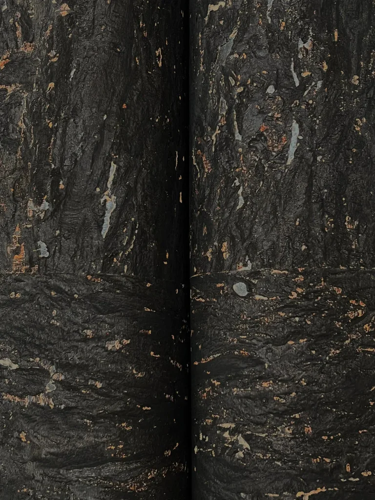 Ronald Redding Caldera Cork Wallpaper - Black — Ảnh 4