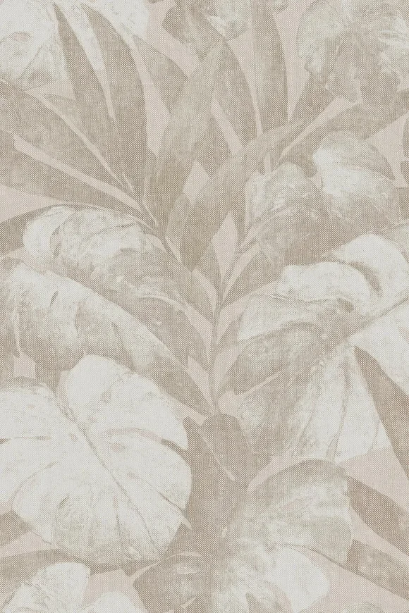 Expédition Potatoes — Ảnh 2