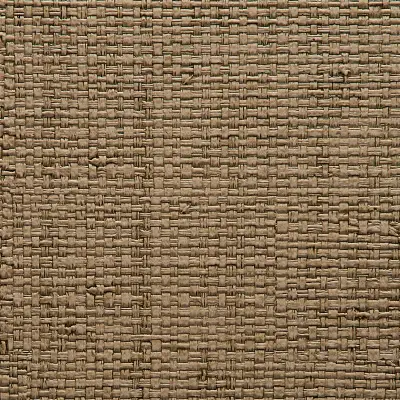 Vinyl Island Raffia