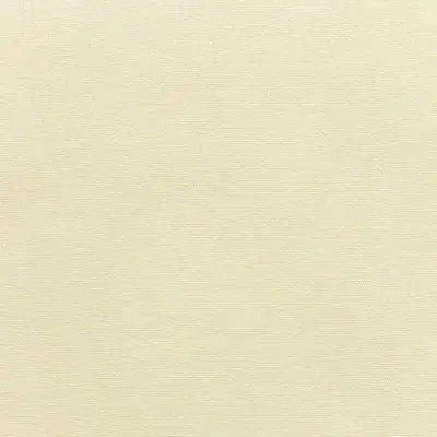 CANVAS CANVAS
