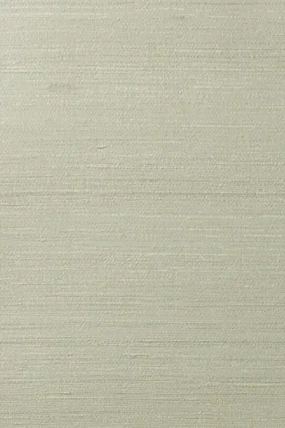 Silkx Raw