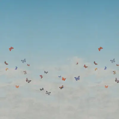 Digital Murals Butterfly Sky