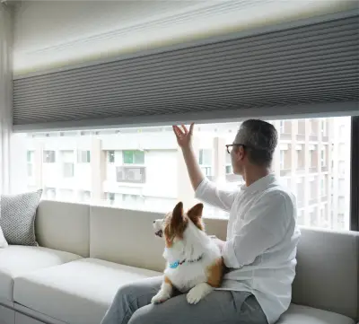 Rèm tổ ong Norman (Honeycomb Shades)