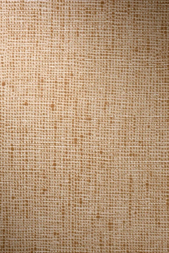 Bouclé Caramel - 73023 — Ảnh 2