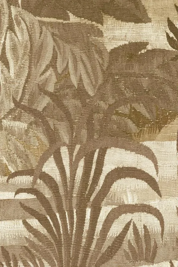 Collines Sepia — Image 2