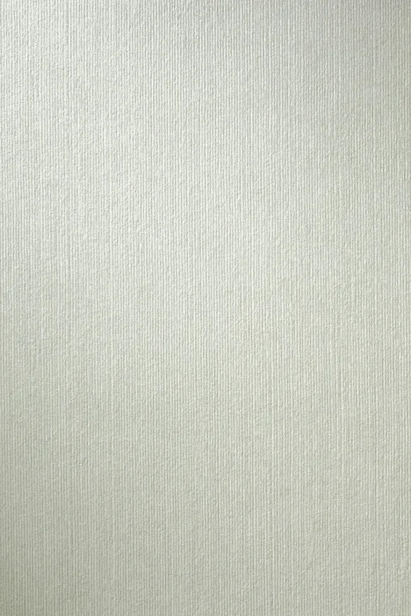 Temper Green Tea - 34503 — Ảnh 2
