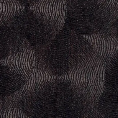 Volute — Un refuge imaginaire