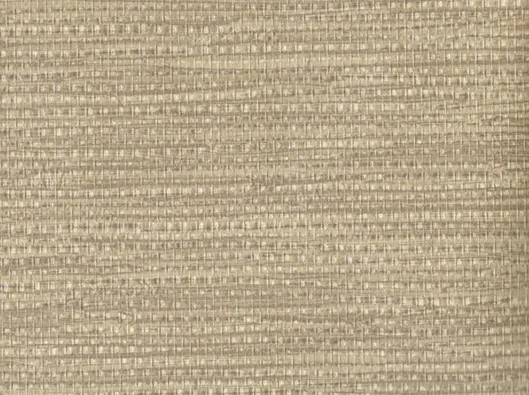 Sisal Weave Imitation 20051411