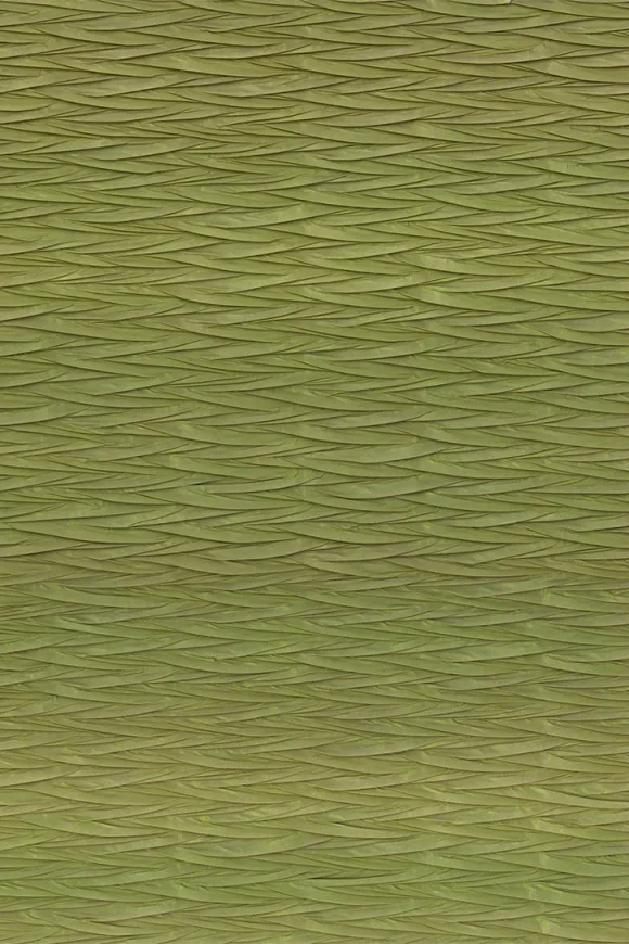 Origami Moss — Ảnh 2