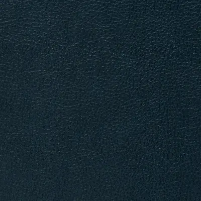 Vinyl Luxe Leathers