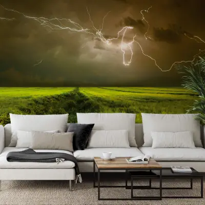 Lightning and Thunder - Wall Mural 5098 - 8 Panel - 384cm x 260cm