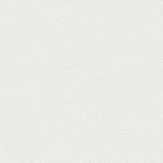 The Basic - White Beige Tone PT.02