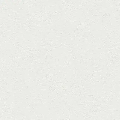 The Basic - White Beige Tone PT.02