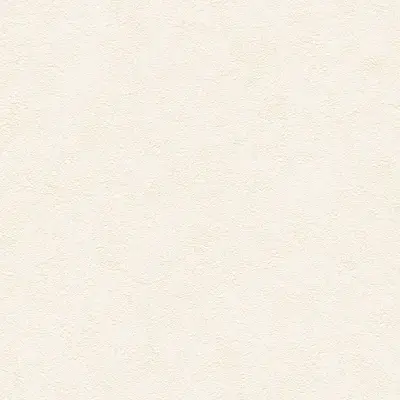 The Basic - White Beige Tone PT.02