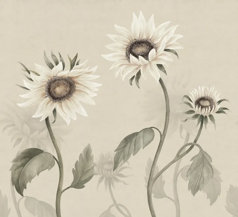 Sunflowers, White
