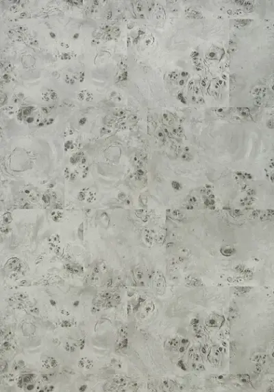 Texture Resource 6 T273