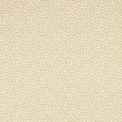 TRUFFLE DARB227086 — Ảnh 2