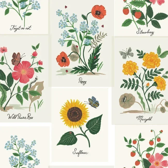 Rifle Paper Co. Botanical Prints Wallpaper - White — Ảnh 4