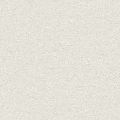 The Basic - White Beige Tone PT.01