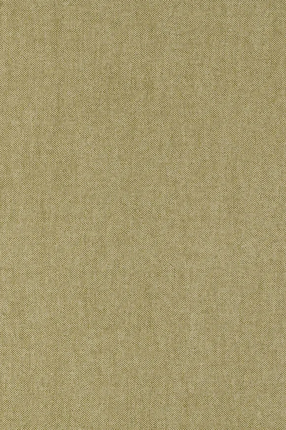 Lin Artichaut - 18201 — Ảnh 4
