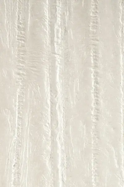 Ecorse