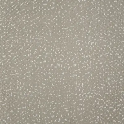 Shine 28324-1001