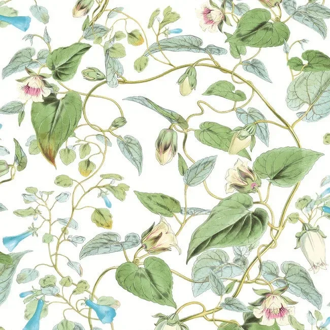 Moon Flower Wallpaper - White — Ảnh 5