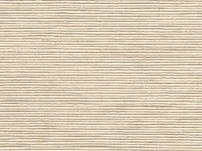 Stripe Sequin Weaving 20020714