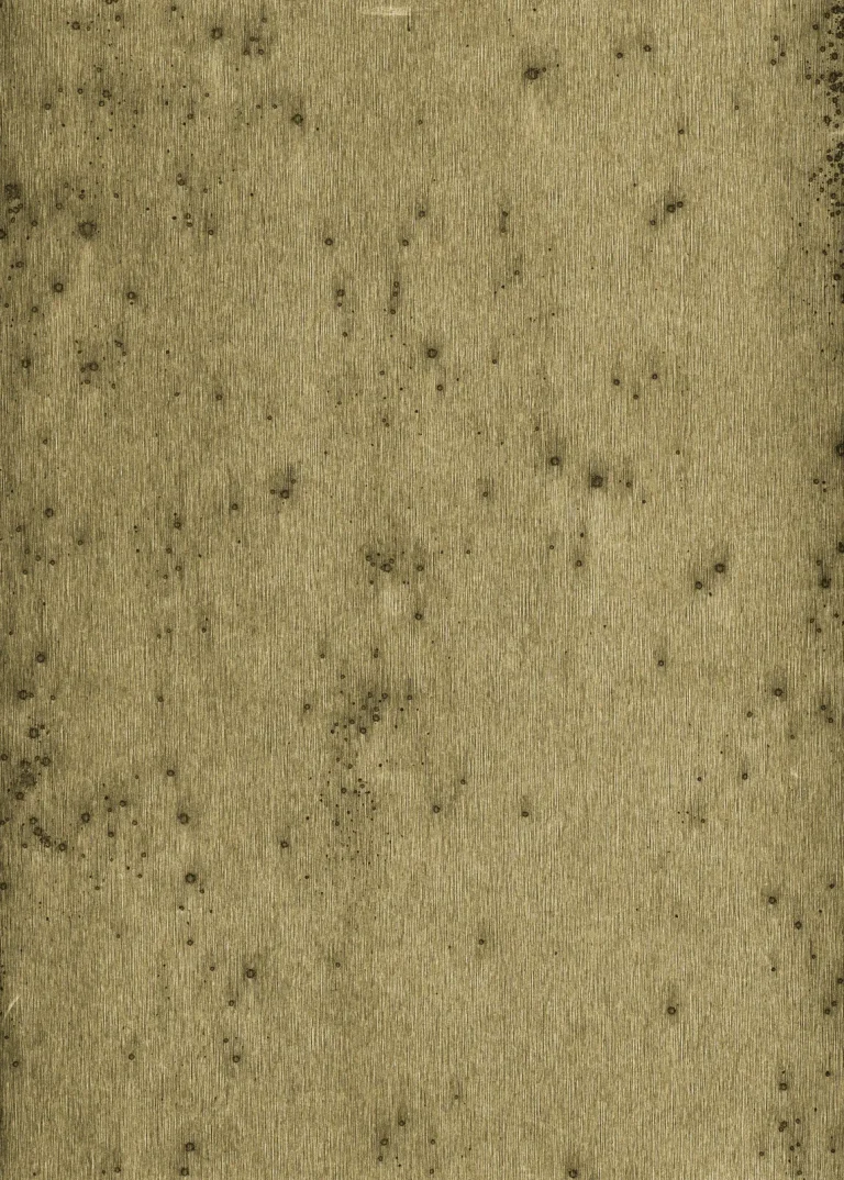 Stellar 37510 — Image 4
