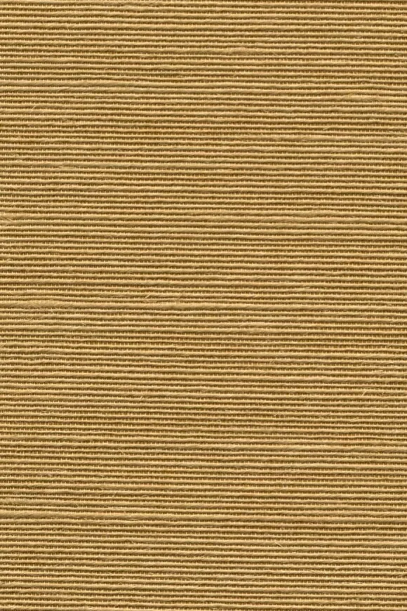 Agave Hazelnut - 90530A — Image 2