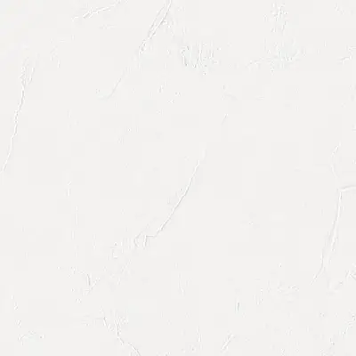 The Basic - White Beige Tone PT.02