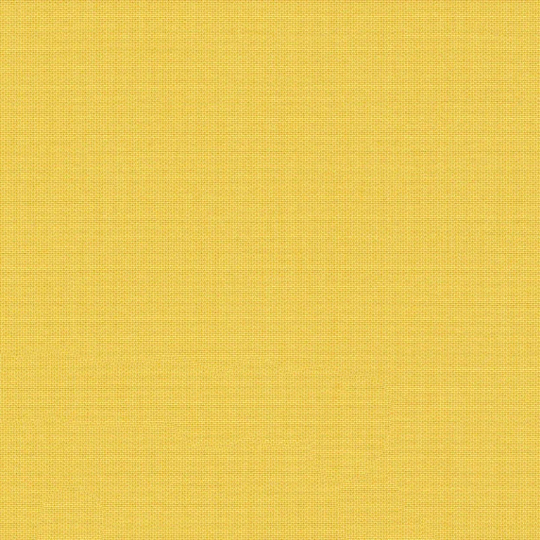 CANVAS LEMON